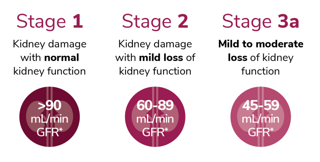 Understanding Kidney Disease Akebia Therapeutics